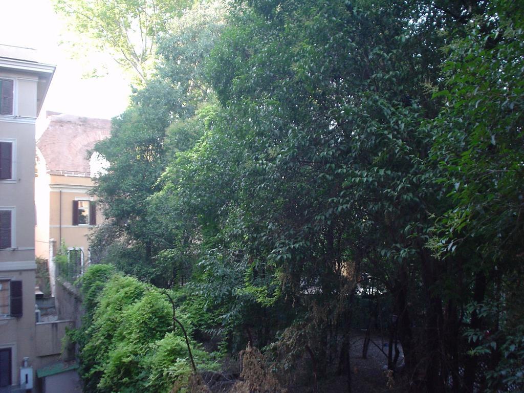 House Maximo At Colosseum Rom Rum bild